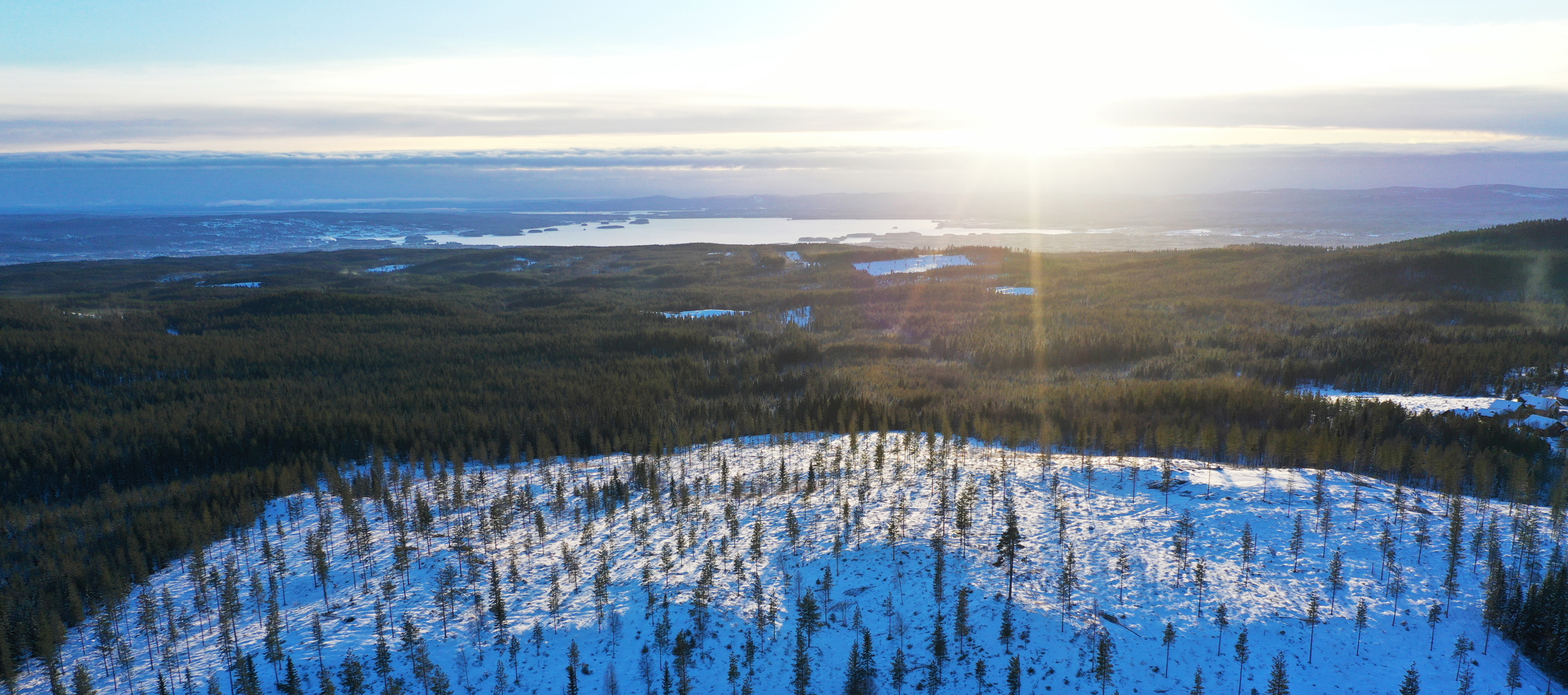 Snötäckt vy över planerat tomtområde i Orsa Grönklitt med granar i landskapet.